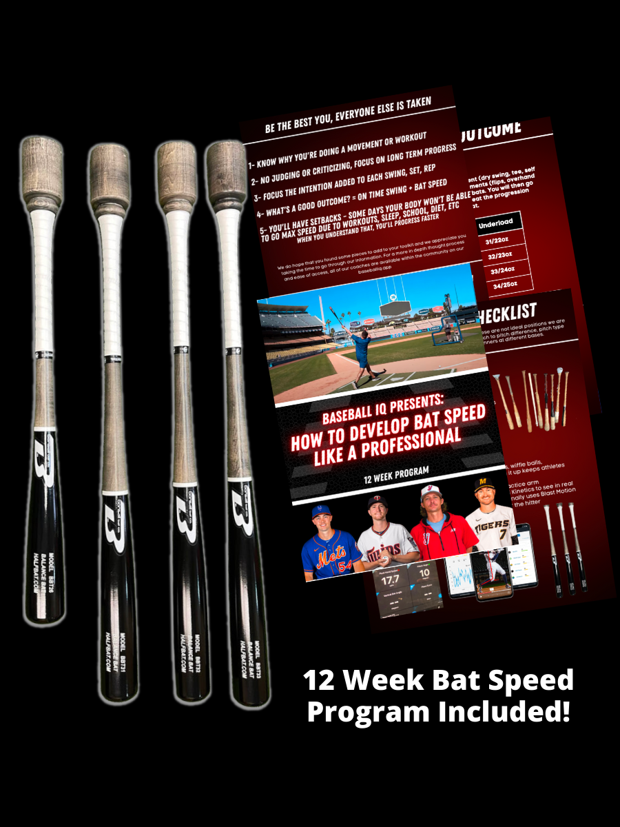 Weighted Knob Bat – TrainingBats.com
